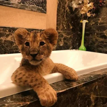 edvin’s closet 🗡️