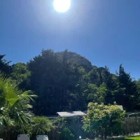 Emilia Johansson 🩷