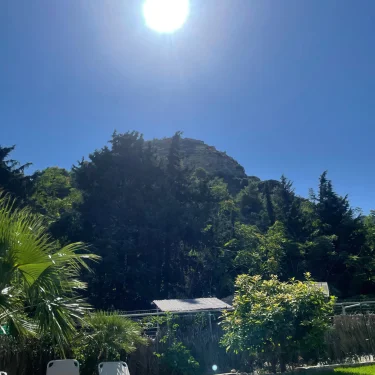 Emilia Johansson 🩷