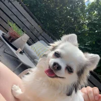 charlie