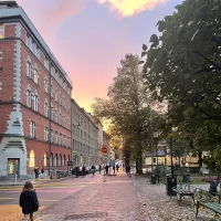 Alva Lundmark sidkvist