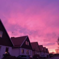 agnes,lisa,alice,liv✨