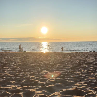 Evelina Holländer Nilsson