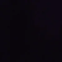 Orion