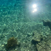 Sellout 🔥🔥🔥🔥