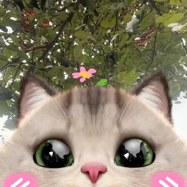 Sofia