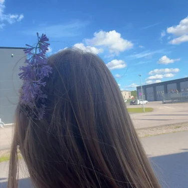 Emmy Carlsson