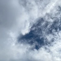 DripSWE