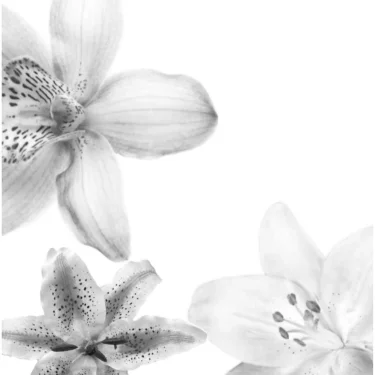 Clara Andersson 💋