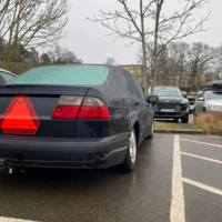 Robin Lovasi Rörvik