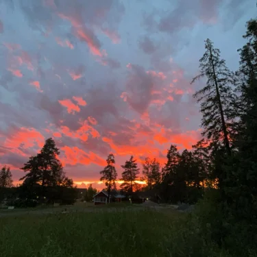 Alexander Anderssonhamner