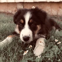 Vera Winsnes 💋⚡️