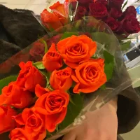 ❤️❤️❤️❤️❤️