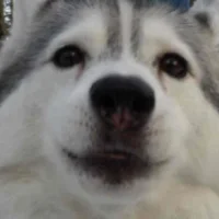 Edit Ahlström Larsmark