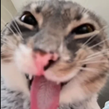 Erik