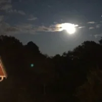 Emil Wikestam Berggren